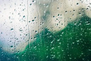 雨