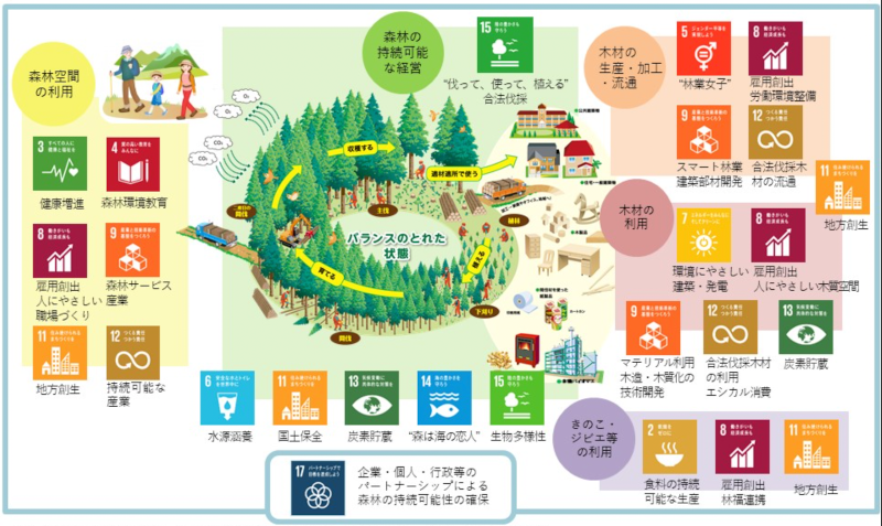 森の循環とSDGs