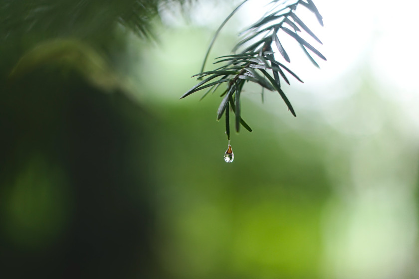 雨水利用