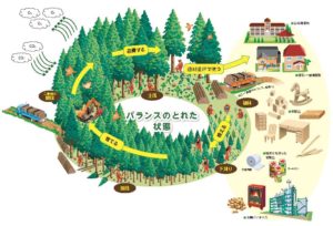 森林サイクル