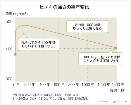 桧の耐久性と年数の関係性