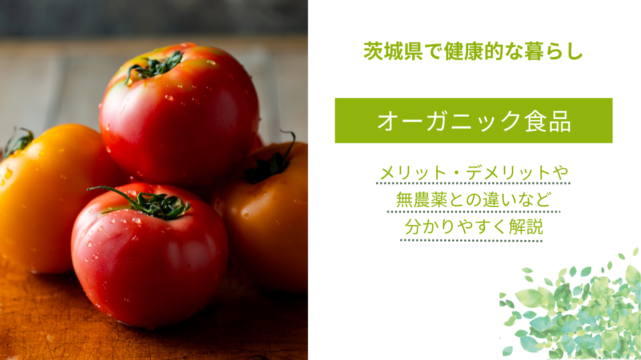 【オーガニック食品】メリット・デメリットや無農薬との違いなど分かりやすく解説