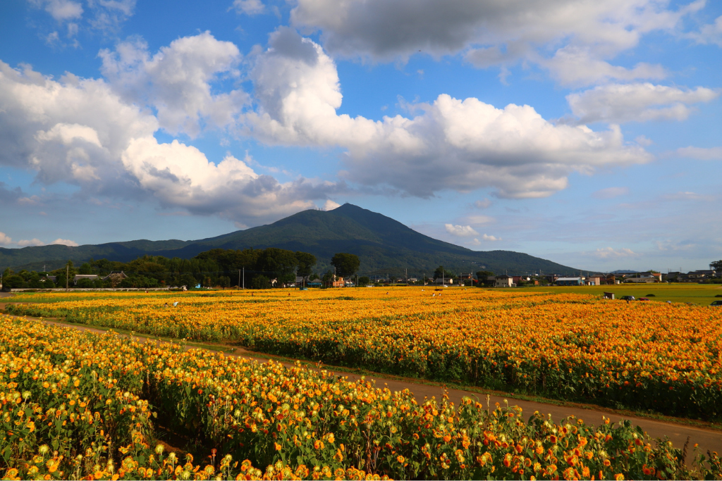 筑西市の風景