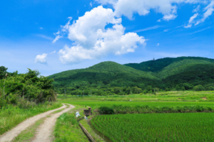 茨城県ののどかな風景