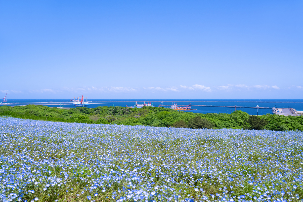 海と山がある茨城の移住エリア