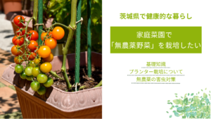 家庭菜園で 「無農薬野菜」を栽培したい