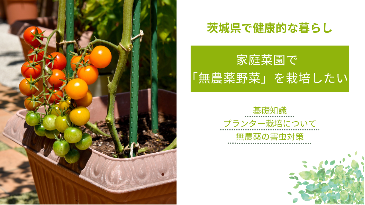 家庭菜園で 「無農薬野菜」を栽培したい