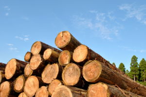 木材はどのくらい乾燥させるべきか