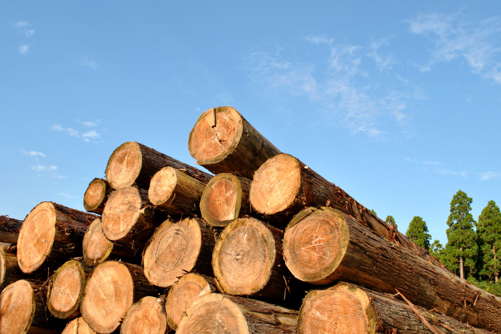 木材はどのくらい乾燥させるべきか