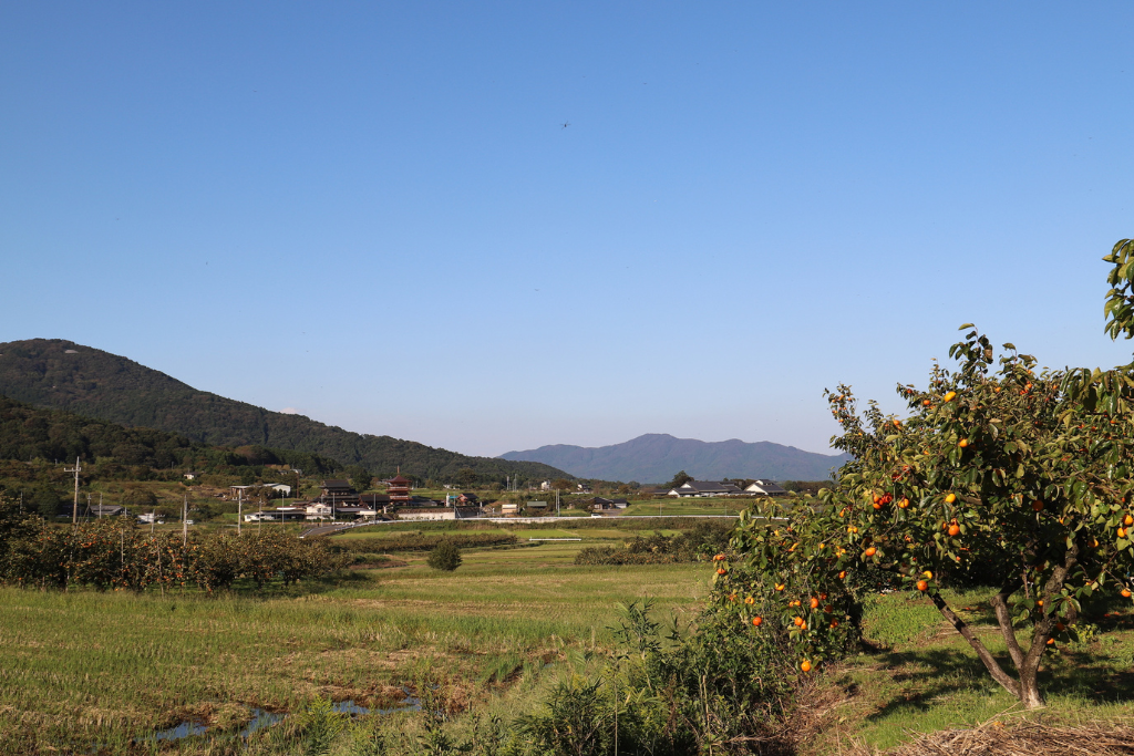 茨城県で田舎への移住
