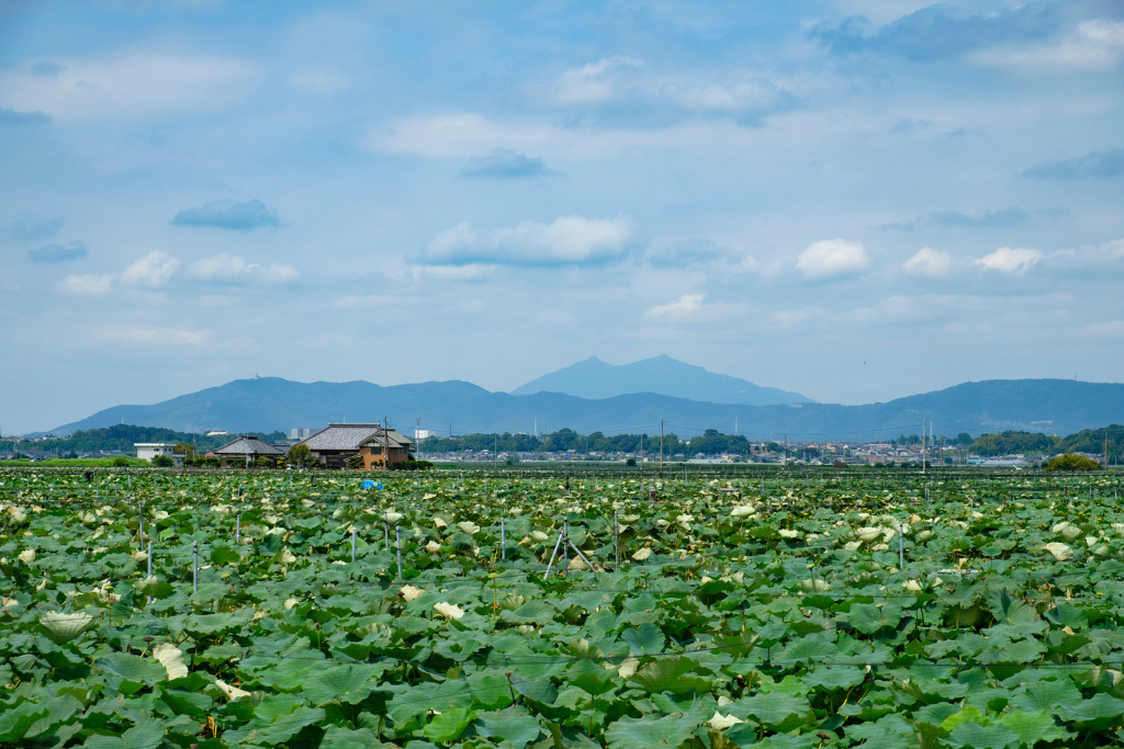茨城県の理想的な田舎暮らし
