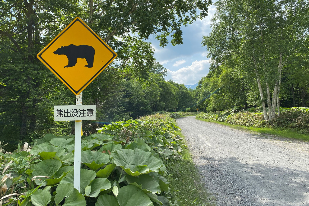 茨城県で田舎暮らしの注意点