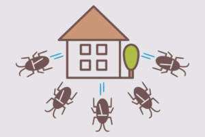 セルロースファイバーの防虫効果