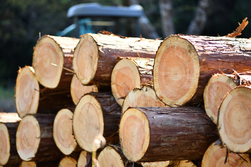 香りが強い樹種の注意点