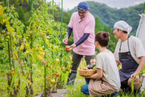 農業移住は茨城がおすすめ