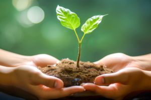 茨城の就農支援金事業