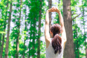 フィトンチッドの効果