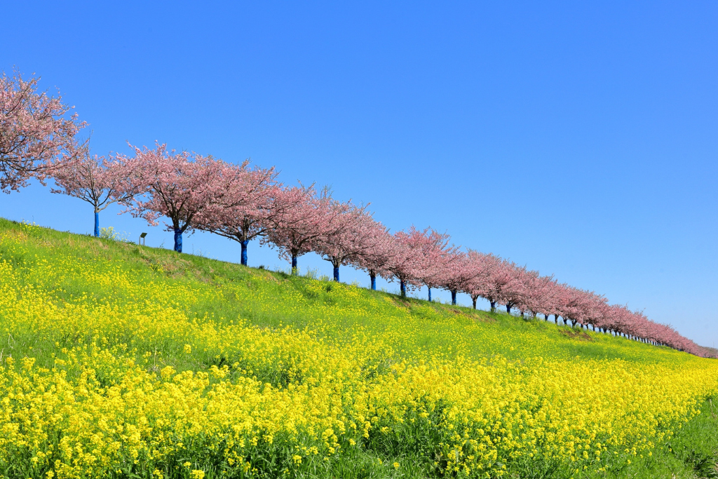 小山移住の魅力