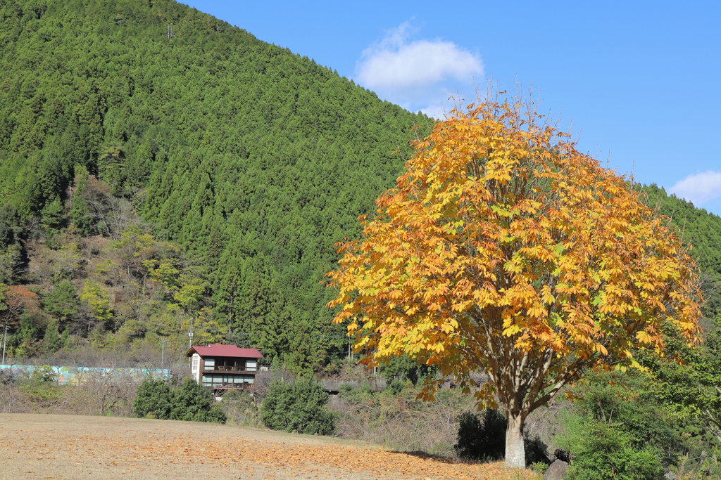 ゼロ・ウェイストの先進である自治体の取り組み